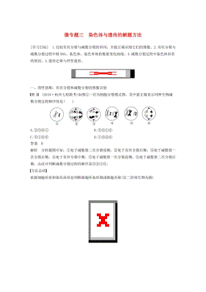 2018-2019學年高中生物 第二章 染色體與遺傳 微專題三 染色體與遺傳的解題方法學案 浙科版必修2.doc