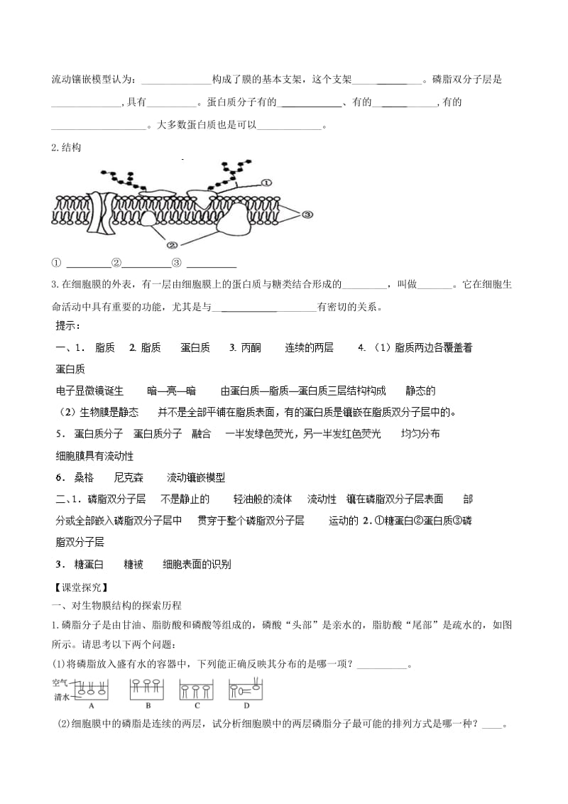 2018-2019学年高中生物 专题4.2 生物膜的流动镶嵌模型学案 新人教版必修1.doc_第2页