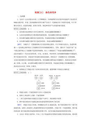 2019高考生物一輪總復(fù)習(xí) 第三單元 生物的變異、育種和進化 練案21 染色體變異 新人教版必修2.doc