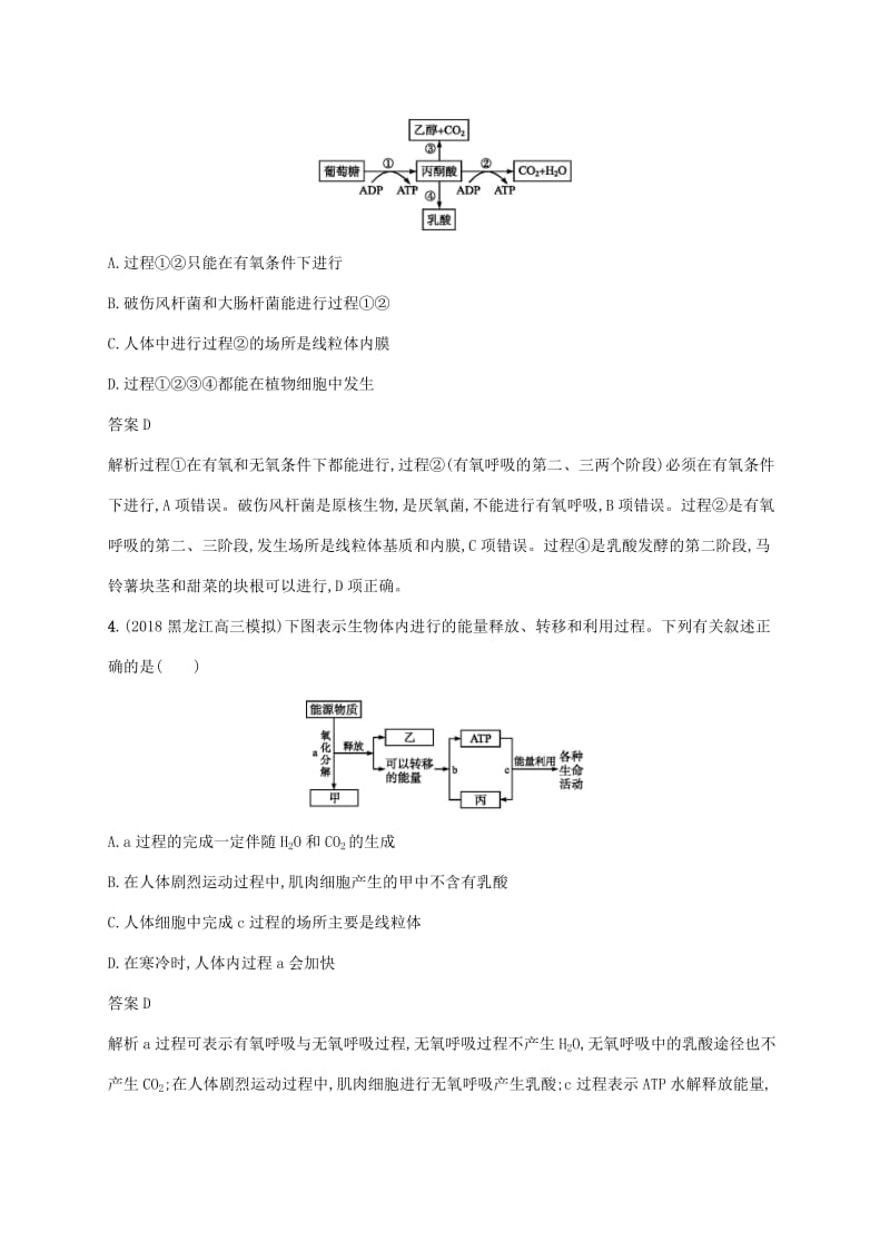 2020版高考生物一轮复习 课时规范练9 细胞呼吸（含解析）苏教版.doc_第2页