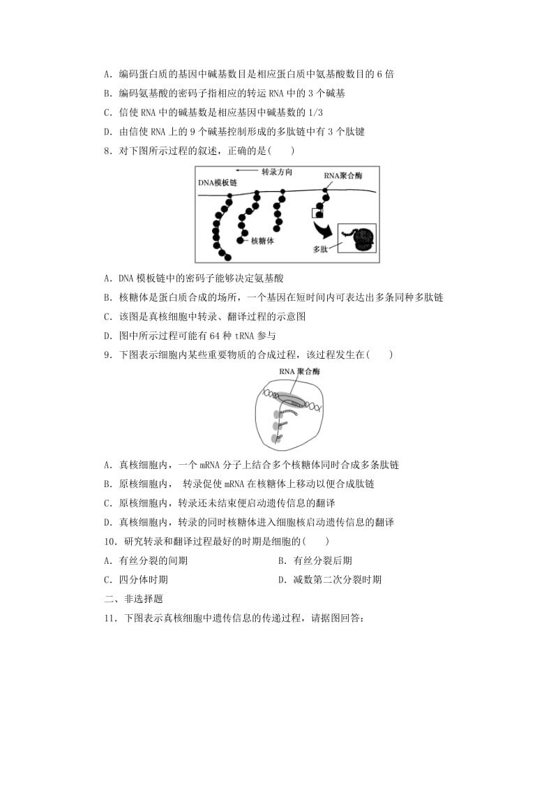 2018-2019年高中生物 课时跟踪检测（十）遗传信息的表达——RNA和蛋白质的合成 浙科版必修2.doc_第2页