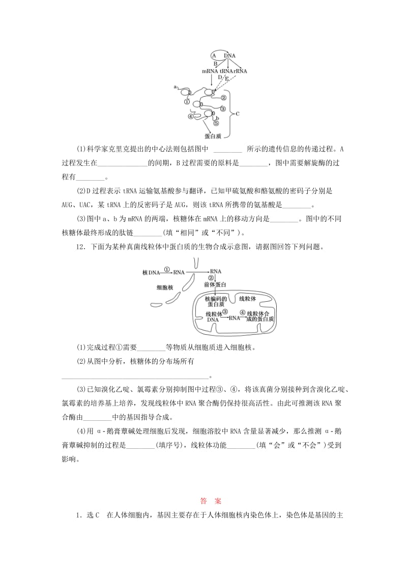 2018-2019年高中生物 课时跟踪检测（十）遗传信息的表达——RNA和蛋白质的合成 浙科版必修2.doc_第3页