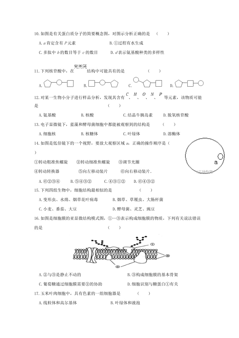 2019-2020学年高一生物上学期第二次月考试题 (IV).doc_第2页