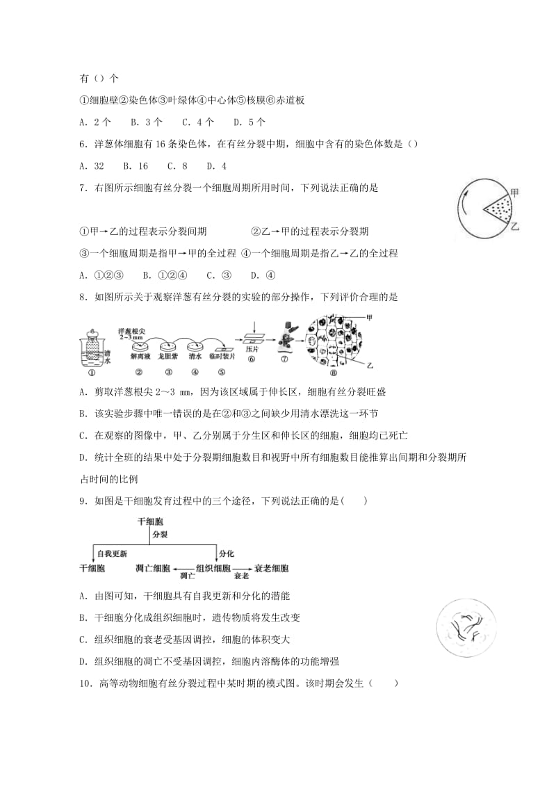 福建省长乐高级中学2018-2019学年高一生物下学期第一次月考试题.doc_第2页