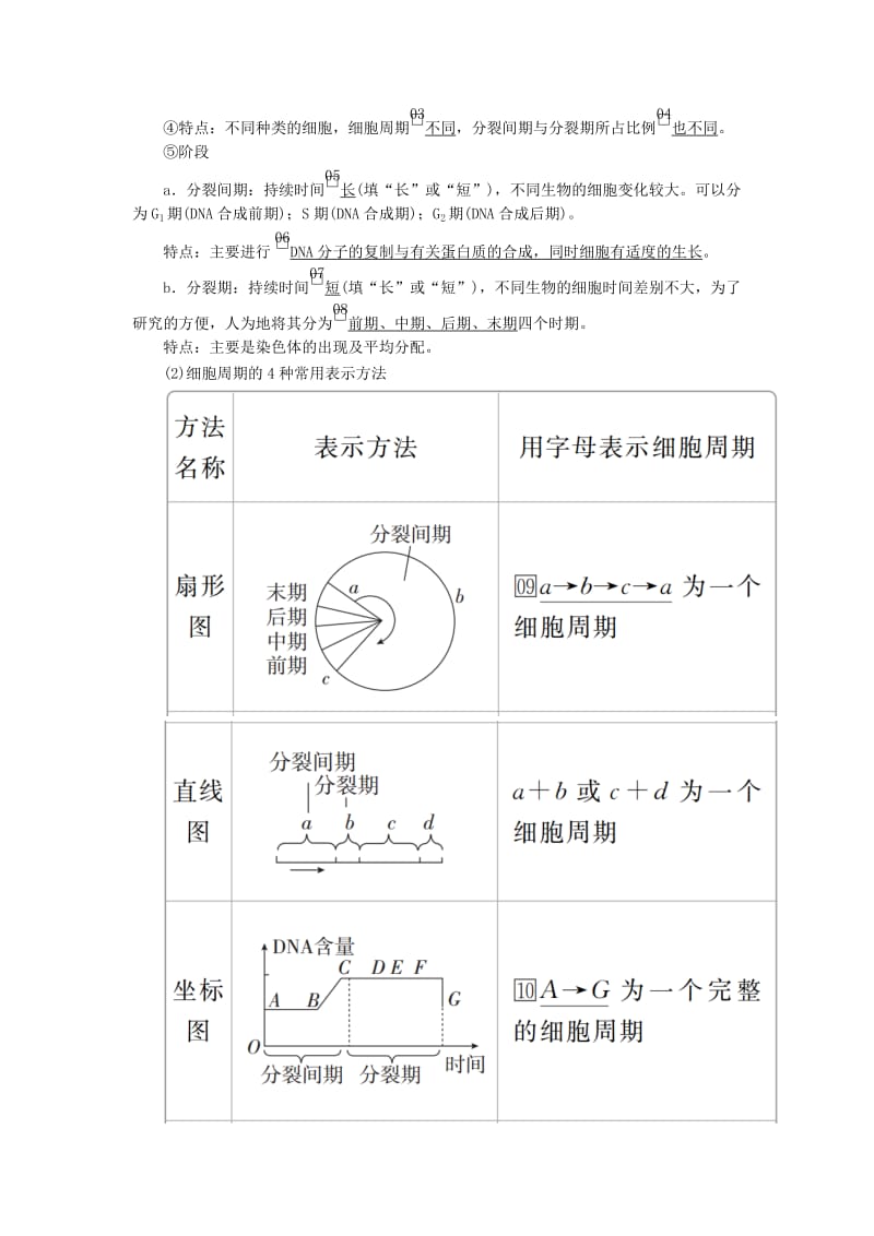 2020年高考生物一轮复习 第4单元 细胞的生命历程 第11讲 细胞的有丝分裂学案（含解析）（必修1）.doc_第2页