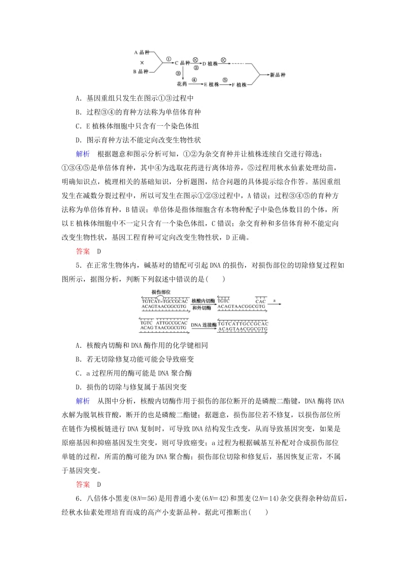 2020高考生物一轮复习 配餐作业24 从杂交育种到基因工程（含解析）.doc_第2页