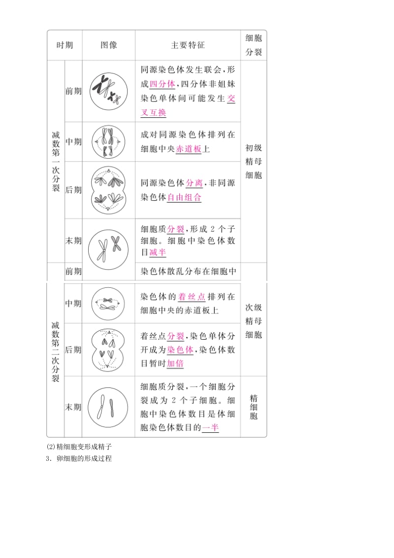 2019高考生物一轮复习 第13讲 减数分裂和受精作用讲练结合学案.doc_第2页