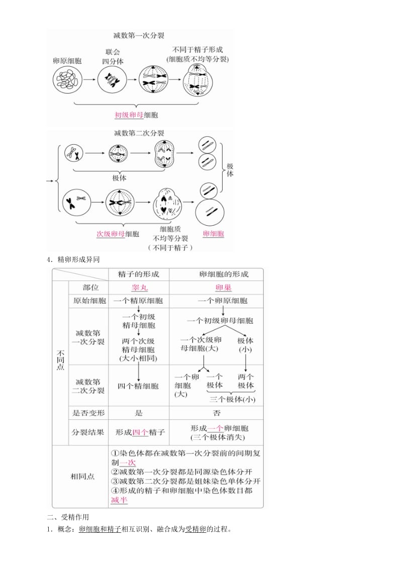 2019高考生物一轮复习 第13讲 减数分裂和受精作用讲练结合学案.doc_第3页