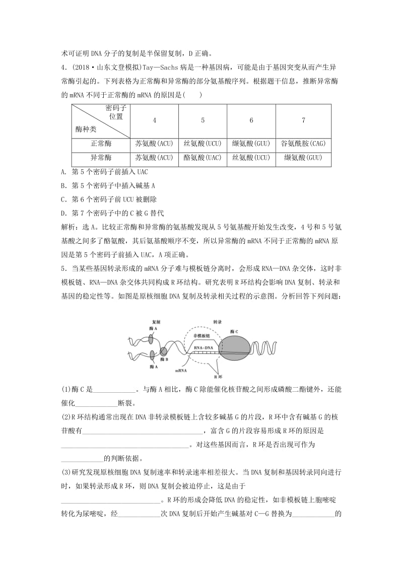 2019届高考生物总复习 第五单元 遗传的物质基础 第17讲 基因的表达提考能强化通关 新人教版.doc_第2页