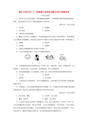 2018-2019學(xué)年高中生物 課時(shí)分層作業(yè)10 細(xì)胞器之間的協(xié)調(diào)配合和生物膜系統(tǒng) 新人教版必修1.doc