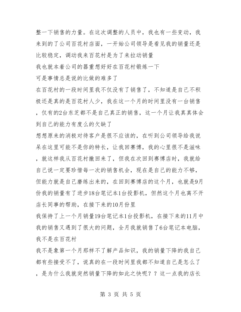 IT销售工作总结年终总结.doc_第3页