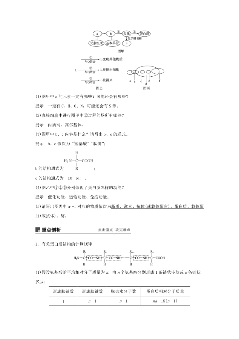 人教通用2020版高考生物大一轮复习第一单元细胞的概述及其分子组成第3讲蛋白质和核酸讲义.docx_第3页