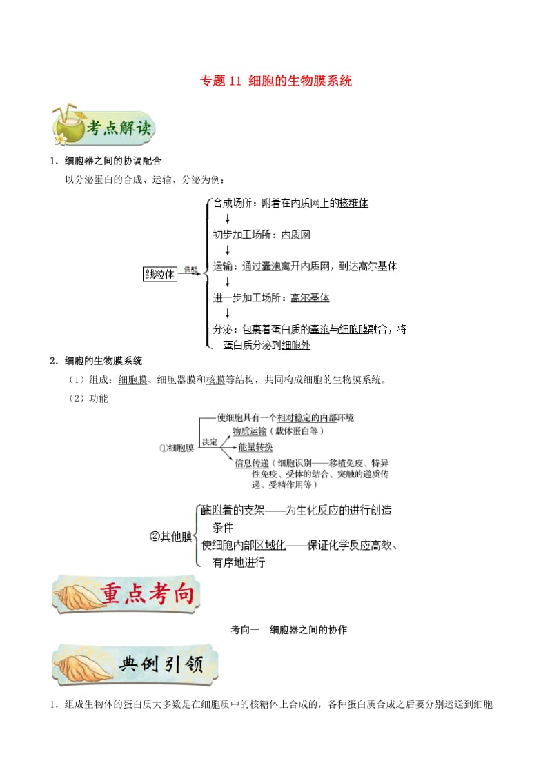 2019年高考生物 考点一遍过 专题11 细胞的生物膜系统.doc_第1页