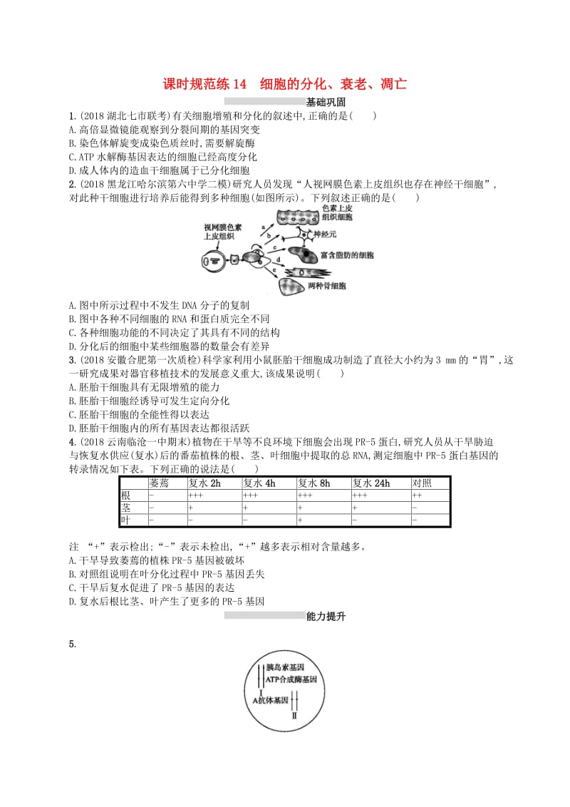 2020版高考生物大一轮复习 第4单元 细胞的生命历程 课时规范练14 细胞的分化、衰老、凋亡 新人教版.docx_第1页