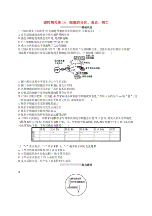 2020版高考生物大一輪復(fù)習(xí) 第4單元 細(xì)胞的生命歷程 課時(shí)規(guī)范練14 細(xì)胞的分化、衰老、凋亡 新人教版.docx