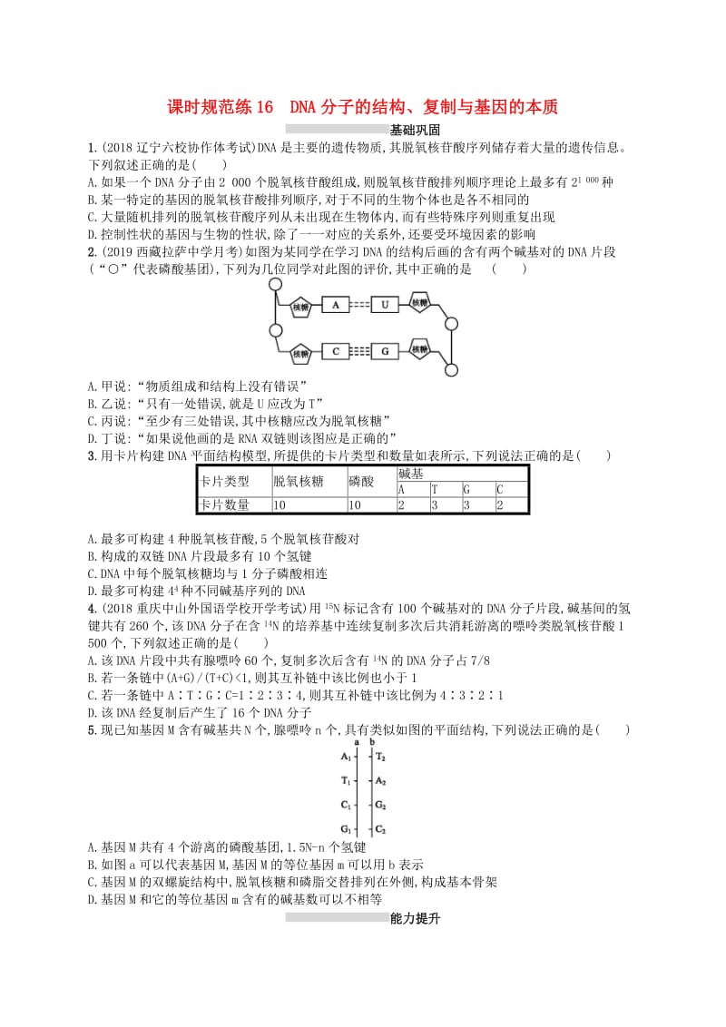 2020版高考生物大一轮复习 第5单元 遗传的分子基础 课时规范练16 DNA分子的结构、复制与基因的本质 新人教版.docx_第1页