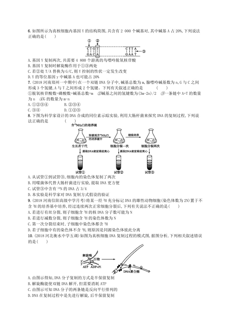 2020版高考生物大一轮复习 第5单元 遗传的分子基础 课时规范练16 DNA分子的结构、复制与基因的本质 新人教版.docx_第2页