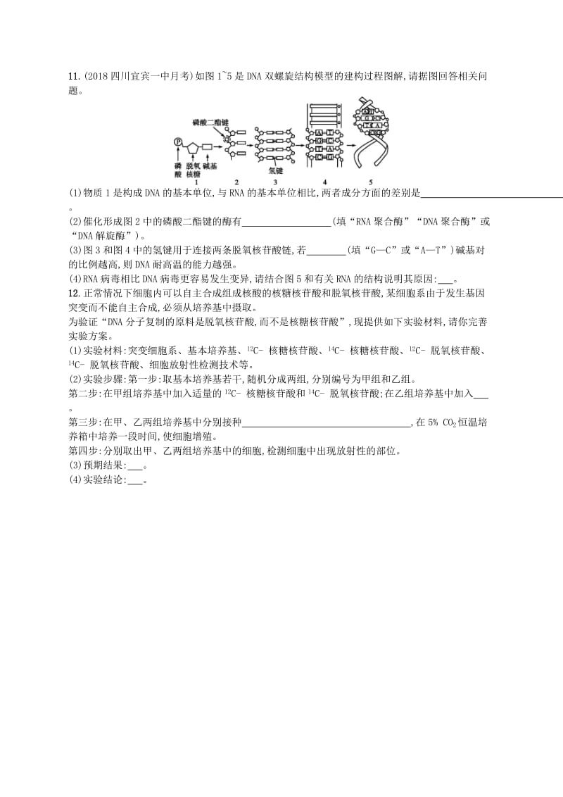 2020版高考生物大一轮复习 第5单元 遗传的分子基础 课时规范练16 DNA分子的结构、复制与基因的本质 新人教版.docx_第3页