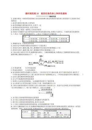 2020版高考生物大一輪復(fù)習(xí) 第6單元 孟德爾定律與伴性遺傳 課時規(guī)范練20 基因在染色體上和伴性遺傳 新人教版.docx