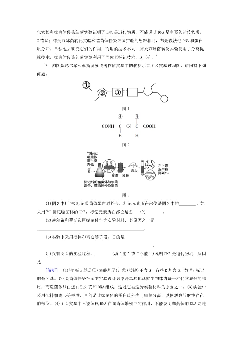 2018-2019高中生物 第4章 遗传的分子基础 微专题突破 DNA是主要遗传物质的实验比较学案 苏教版必修2.doc_第3页