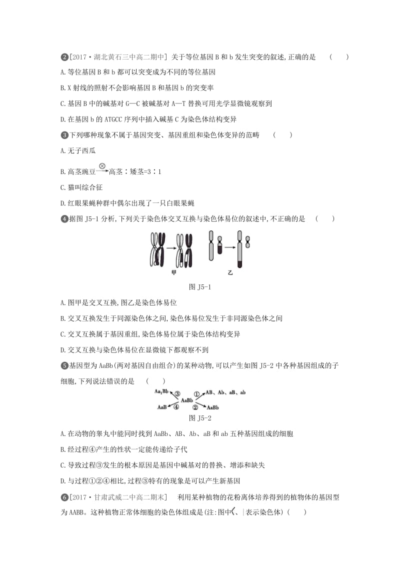 2019年高中生物 第5章 基因突变及其他变异基础排查训练（含解析）新人教版必修2.doc_第2页