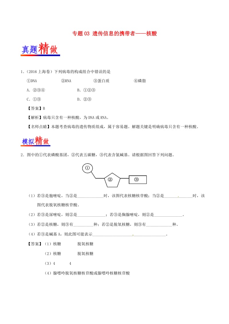 2018-2019学年高中生物 专题03 遗传信息的携带者——核酸大题精做 新人教版必修1.doc_第1页