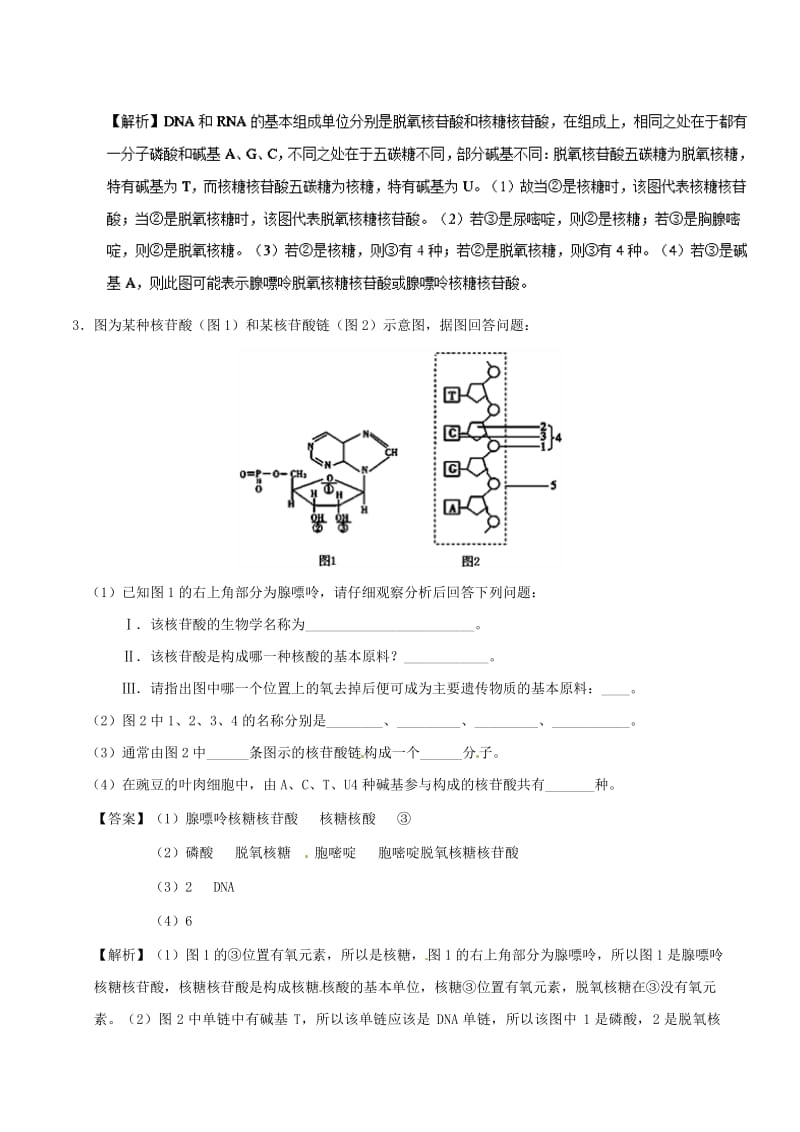 2018-2019学年高中生物 专题03 遗传信息的携带者——核酸大题精做 新人教版必修1.doc_第2页