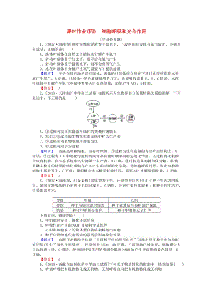 2019屆高考生物二輪復(fù)習(xí) 專題二 生命系統(tǒng)的代謝 課時作業(yè)（四）細胞呼吸和光合作用.doc