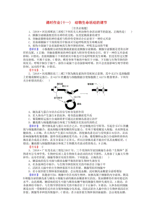 2019屆高考生物二輪復習 專題五 生命系統(tǒng)的穩(wěn)態(tài)及調節(jié) 課時作業(yè)（十一）動物生命活動的調節(jié).doc