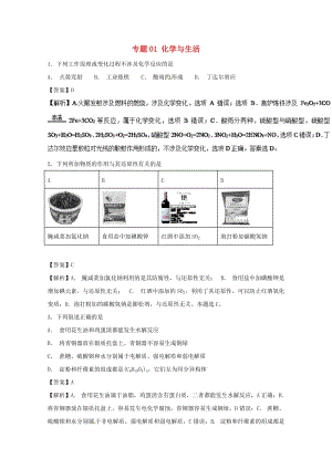 2019年高考化學(xué)大串講 專題01 化學(xué)與生活練習(xí).doc