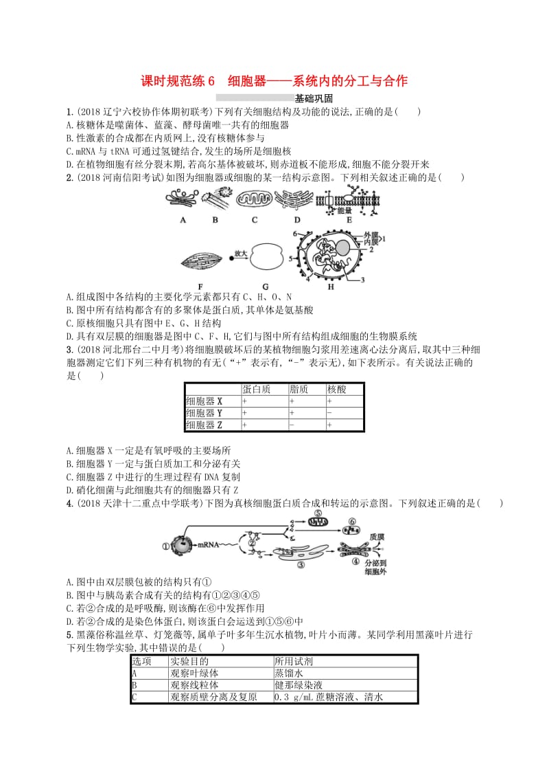 2020版高考生物大一轮复习第2单元细胞的基本结构细胞的物质输入和输出课时规范练6细胞器--系统内的分工与合作新人教版.docx_第1页