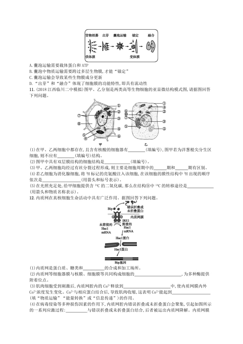 2020版高考生物大一轮复习第2单元细胞的基本结构细胞的物质输入和输出课时规范练6细胞器--系统内的分工与合作新人教版.docx_第3页