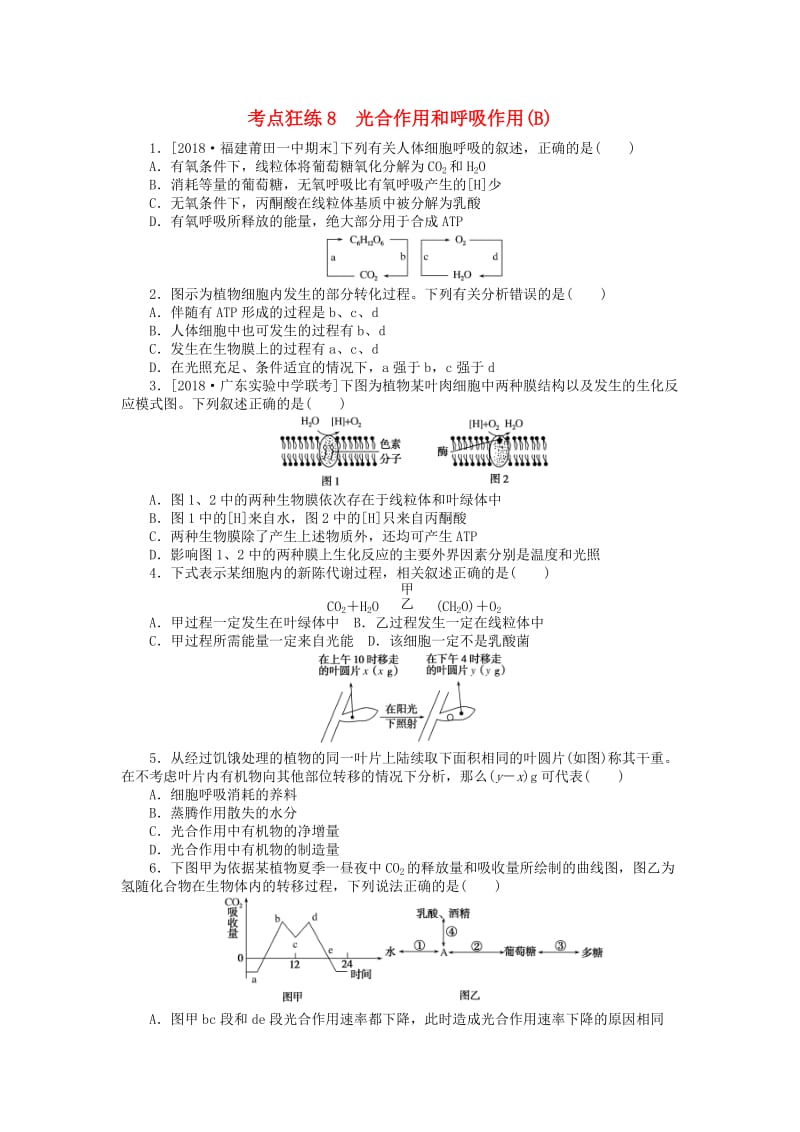 2019高考生物二轮复习 考点狂练8 光合作用和呼吸作用（B）.doc_第1页