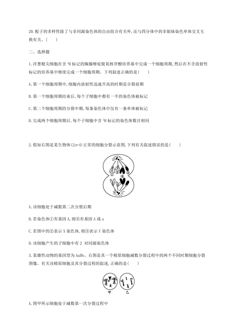 2019年高考生物二轮复习 专题能力训练5 细胞的增殖和受精作用.docx_第2页