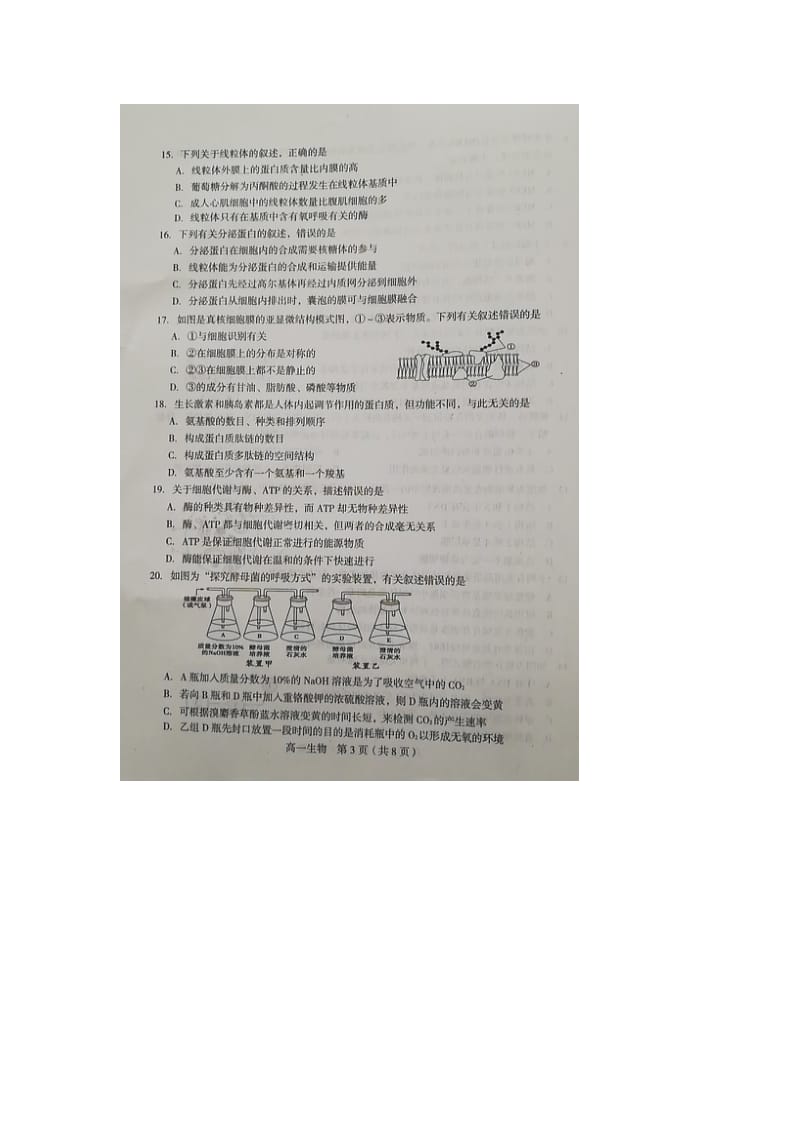 福建省龙岩市一级达标校2018-2019学年高一生物上学期期末教学质量检查试卷（扫描版）.doc_第3页