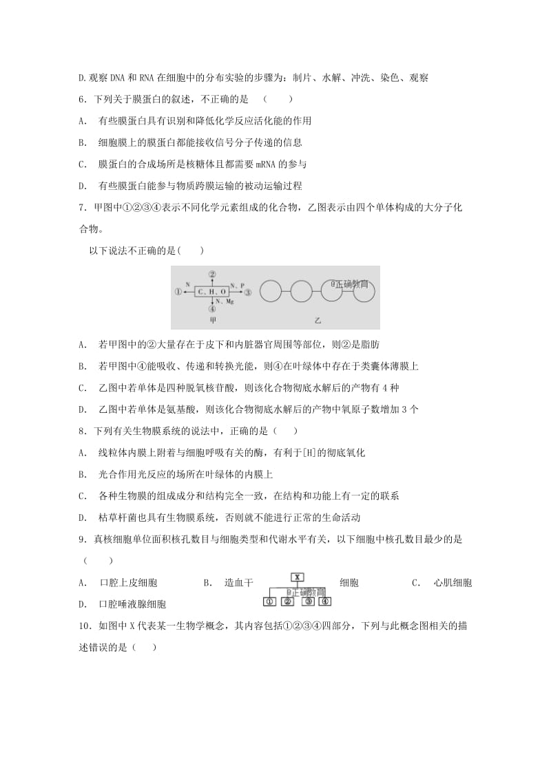 江西狮南中学2019届高三生物上学期期中试题.doc_第2页