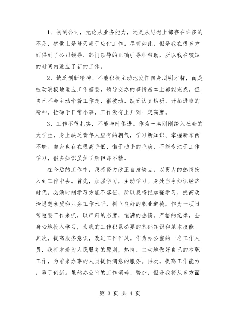 公司员工试用期工作小结.doc_第3页