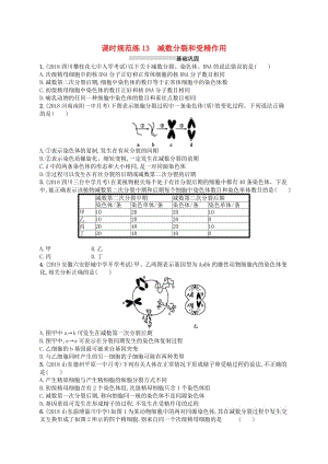 2020版高考生物大一輪復(fù)習(xí) 第4單元 細(xì)胞的生命歷程 課時(shí)規(guī)范練13 減數(shù)分裂和受精作用 新人教版.docx
