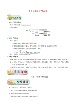 2019年高考生物 考點(diǎn)一遍過(guò) 考點(diǎn)28 DNA分子的結(jié)構(gòu)（含解析）.doc