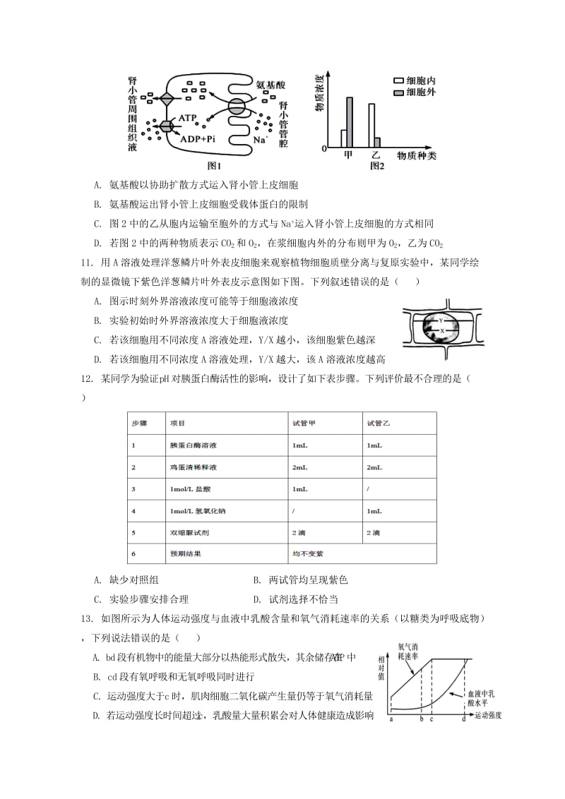 2018-2019学年高二生物上学期开学检测试题(零班).doc_第3页