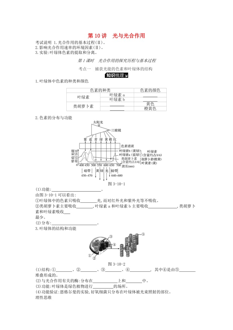 2019版高考生物一轮复习 第3单元 细胞的能量供应和利用 第10讲 光与光合作用（1课时）学案 苏教版.doc_第1页