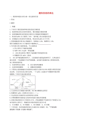 北京市高考生物一輪復(fù)習(xí) 例題講解 專(zhuān)題 遺傳信息的表達(dá)學(xué)案.doc