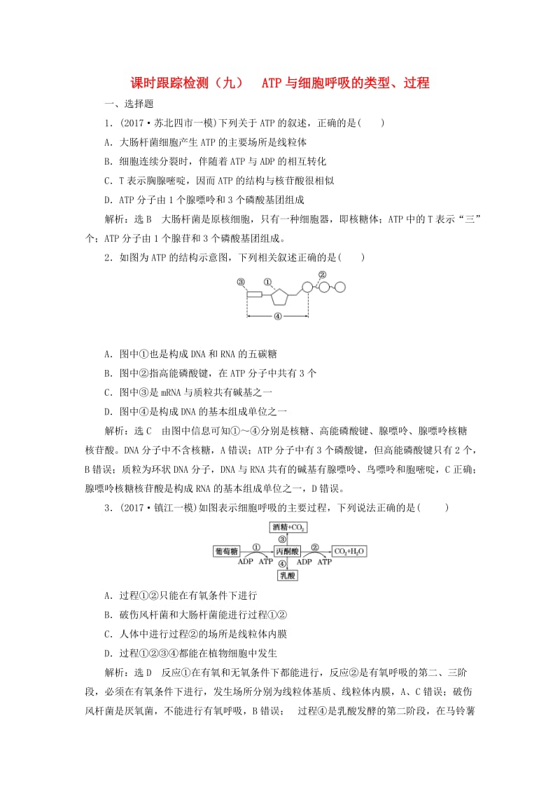 江苏专版2019版高考生物一轮复习第一部分分子与细胞第三单元细胞的能量供应和利用课时跟踪检测九ATP与细胞呼吸的类型过程.doc_第1页