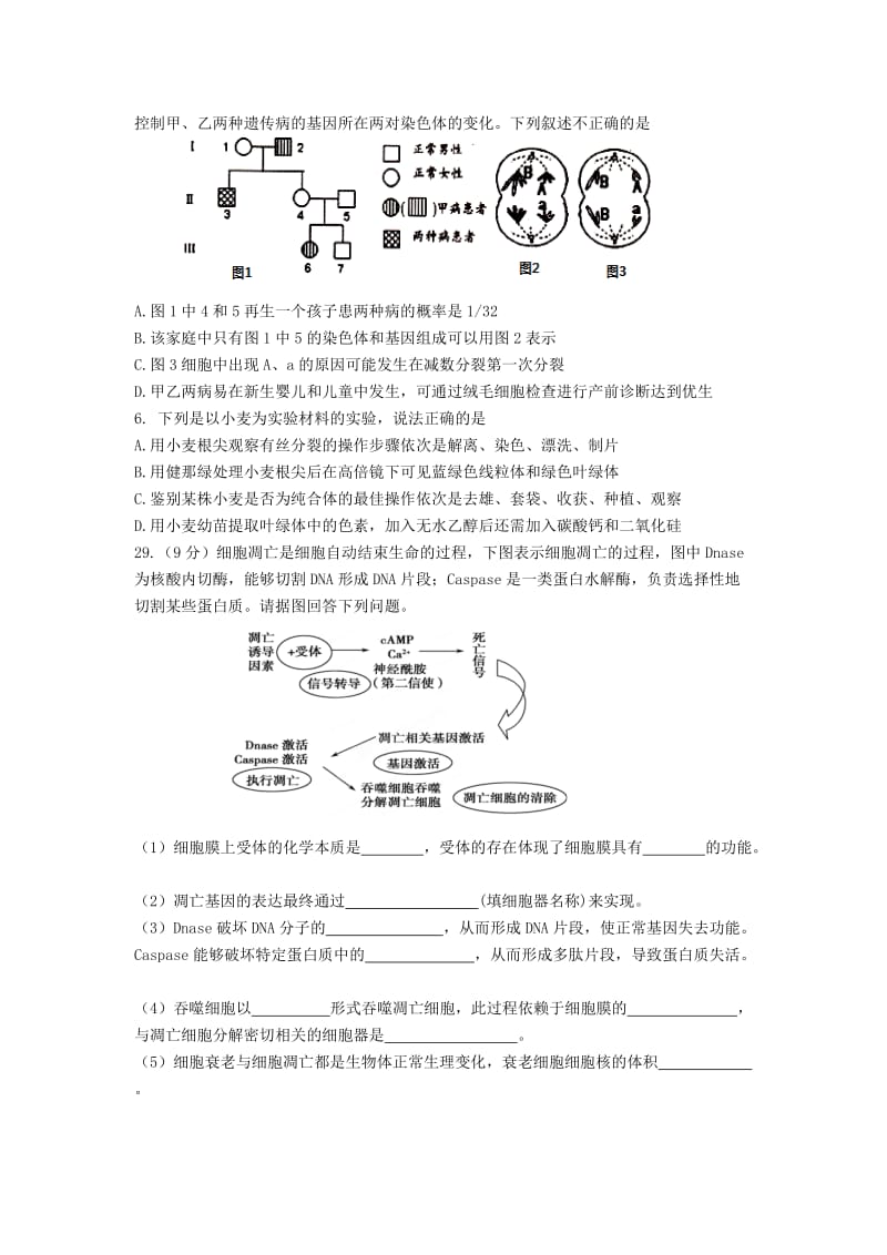 2019届高三生物上学期第一次月考试题 (II).doc_第2页