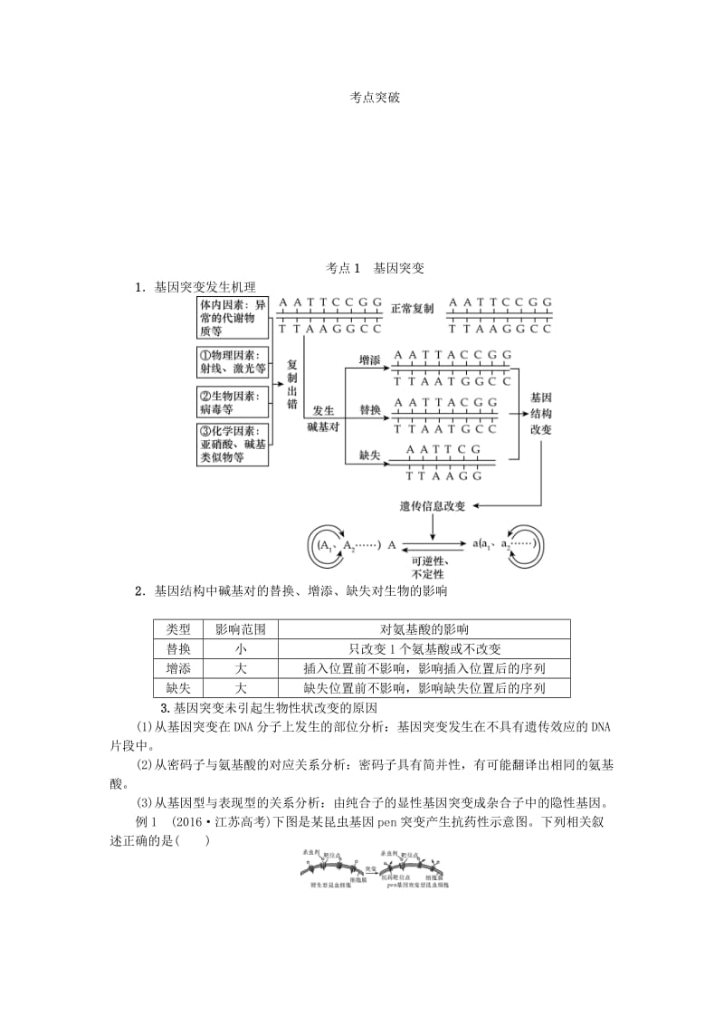 江苏专用2019年高考生物一轮总复习第7单元生物的变异与进化第1讲基因突变和基因重组学案.doc_第3页