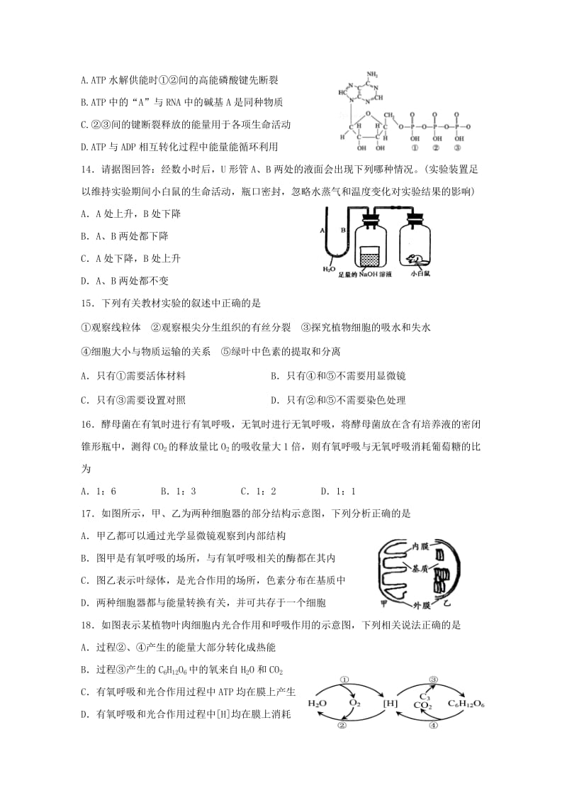 2017-2018学年高一生物下学期期中试题 (IV).doc_第3页