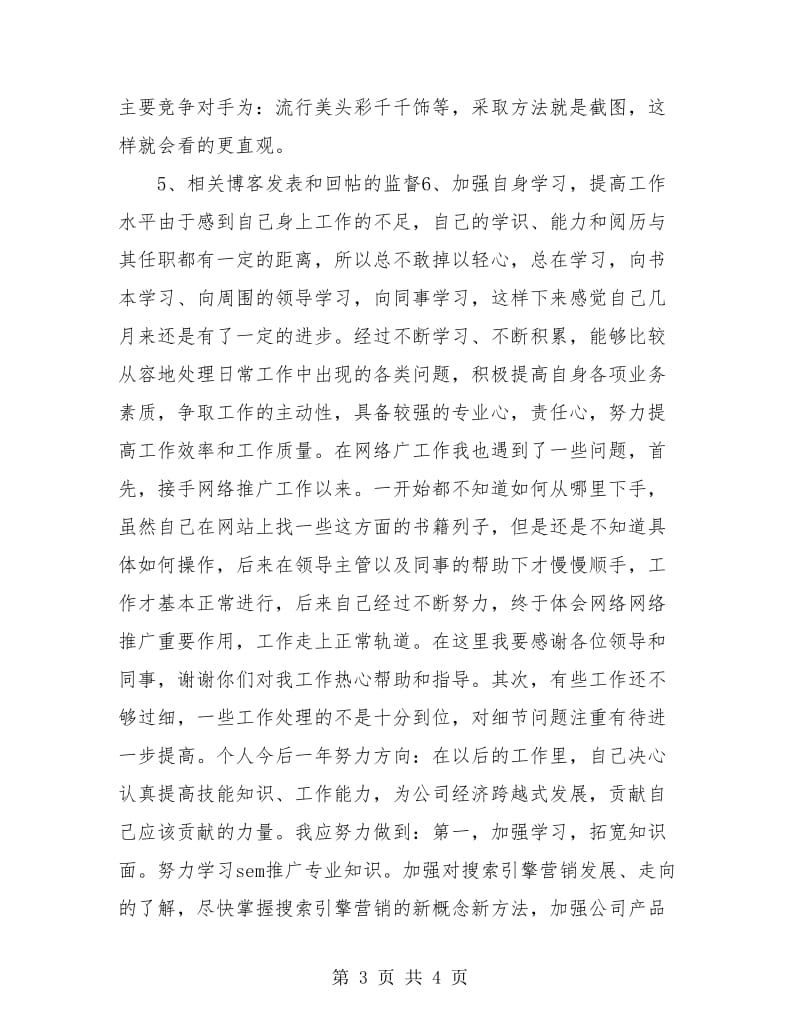 网络推广个人年度工作总结.doc_第3页