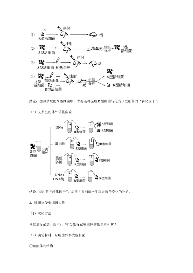 （全国通用）2018年高考生物总复习《DNA是主要的遗传物质》专题突破学案.doc_第2页