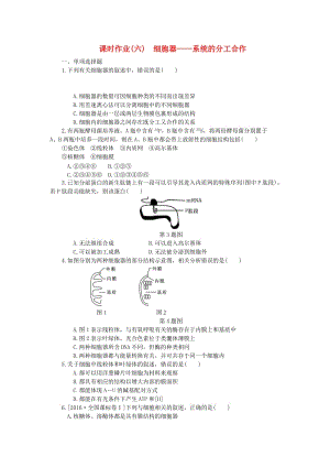 （江蘇專用）2019年高考生物一輪總復(fù)習(xí) 課時(shí)作業(yè)（六）細(xì)胞器——系統(tǒng)的分工合作.doc