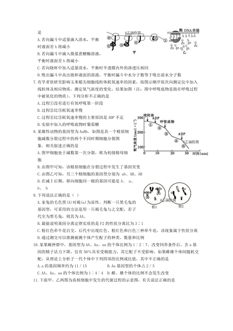 2019届高三生物上学期8月月考试题.doc_第2页